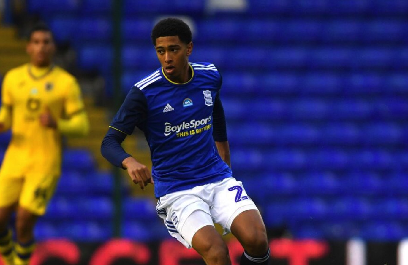 早报：搅吧，你们就搅吧！（早报：尽管搅，随你们折腾！）